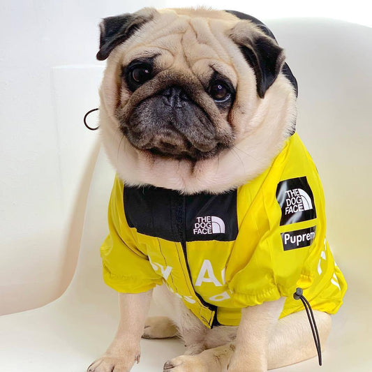 Cross-border popular pet clothes Tide brand windproof and rainproof jacket raincoat Northern dog coat